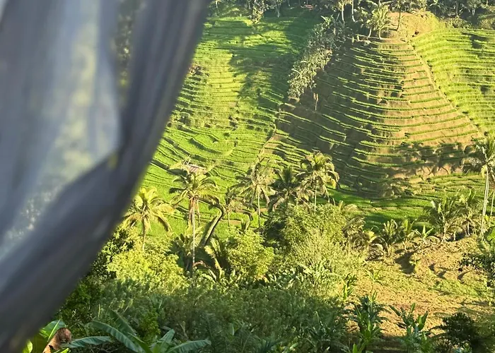 True Bali * Blimbing (Bali)