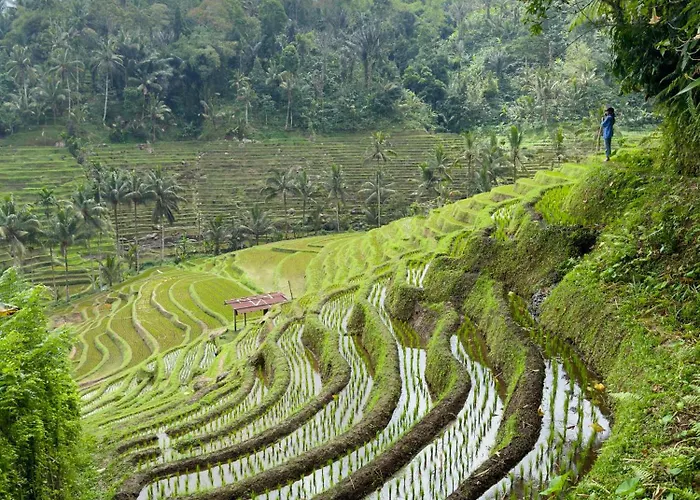 True Bali