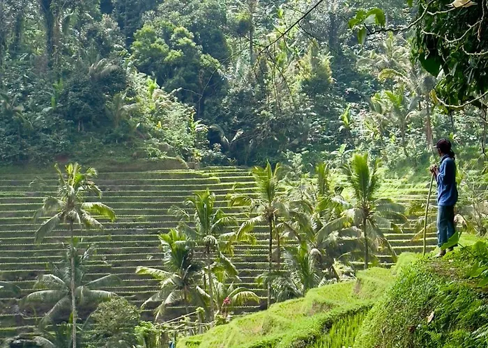 Villa True Bali Blimbing (Bali)