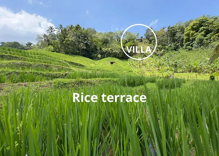 True Bali *