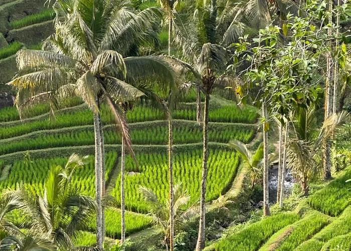 True Bali Villa Blimbing (Bali)